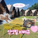 경기 연천 당일치기 여행, 애견동반 바베큐장 <선셋힐 바베큐>