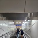 털보네꼼장어 이미지