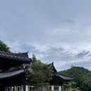 스테이해뜰우 이미지