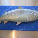 케익타운 이미지