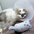 시흥솔병원 이미지