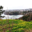 서호동-73 이미지