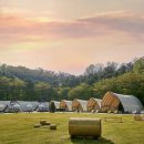 호텔 숲 이미지