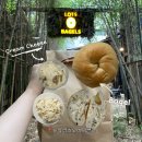 뉴욕라츠오베이글스 포장 주차 압구정로데오 베이글 맛집