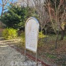 금성초등학교 티스토리