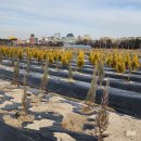 미림농장 이미지