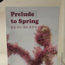 DDP 뮤지엄 디자인 둘레길 B2F [Prelude to Spring] 이미지