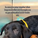 지 동물병원 이미지