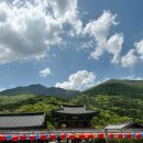 추억의 뽑기방 | 밀양 펜션 온 내돈내묵 후기 + 표충사, 방갈로농원, 달리아커피