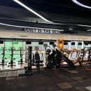 송림헬스케어 | 서초동 헬스장 여성전용 PT 더스토리짐 강남점 헬스 회원권