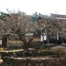 밀양향교 이미지