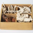 자담 한의원 이미지