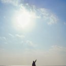 서천 판교 구 동일주조장 이미지