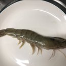 석호수산식당