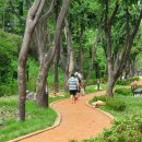 양재천로 이미지