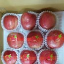 욱이네 농장 이미지