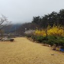 (주) 지닌 이미지