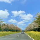 동산프라자약국 이미지