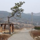 남도삼백리길(7코스) 이미지