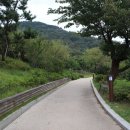 황령산유원지 생태숲 이미지
