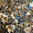 즐거운축사 이미지