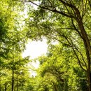 새아침한의원 이미지