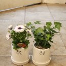 혜은농장 이미지