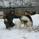 현강농장 이미지