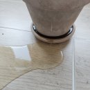 키워주시개 | 식물 용품, 토양 수분 측정기 식물전파사 눈물 주시개 후기