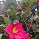 북항노을공원 이미지