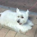 쇠돌농장 이미지