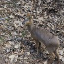 수배농장 이미지