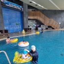 휘닉스 실외수영장 이미지