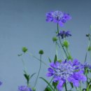 그림이있는 풍경 이미지