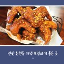 쩡아네전집