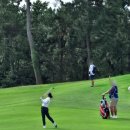 파인비치 | BMW 레이디스챔피언십 2025파인비치 갤러리후기