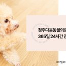 오창동물병원 이미지