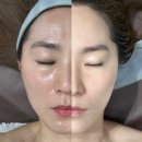 비오티스튜디오