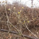 이미순농장 이미지