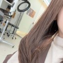 모몽 | [사당역 미용실 추천] 퍼스널컬러 진단 후 받은 애쉬브라운 염색💇‍♀️ 메르시모몽 이수쌤 후기