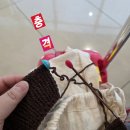 하루방제과점 | 2025년 12월 16일 제주도 여행기1 (비자림, 세화해변)