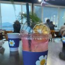 도리카페
