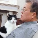 다혜테크