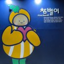 버드나무숲 | 성주 성밖숲 왕버드나무 산책 후기｜야간조명, 산책코스, 가야산 코스 연계 추천