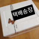 [마들렌 아티자나] 구매 후기