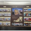 파니아토 이미지