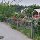 동산동-09 이미지