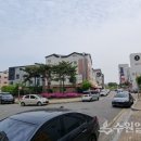 호매실벚꽃음식문화거리 이미지