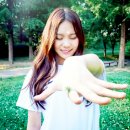 BUD 이미지