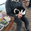 와따 좌대낚시터 이미지